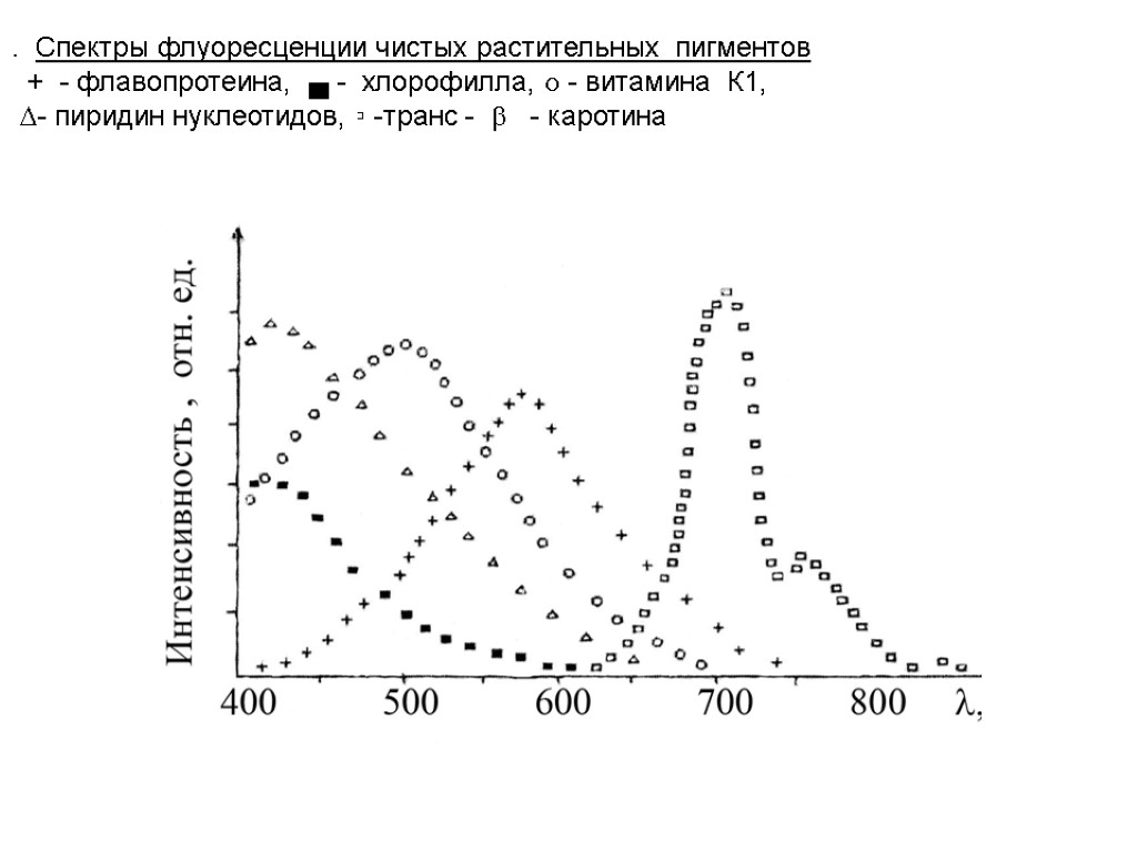 . Спектры флуоресценции чистых растительных пигментов + - флавопротеина, ▄ - хлорофилла,  -